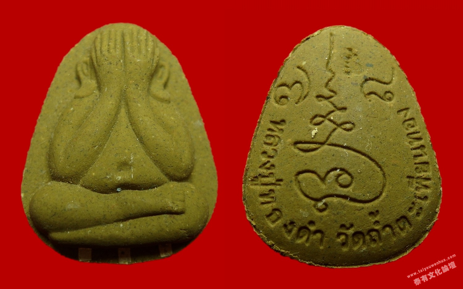 SAM_2682_conew1.jpg